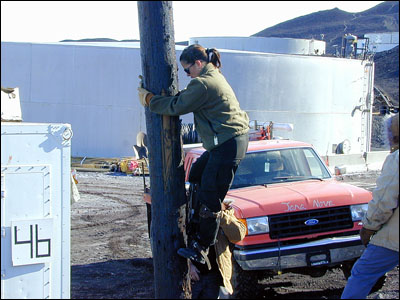 Irma pole-climbing without climbing belt
