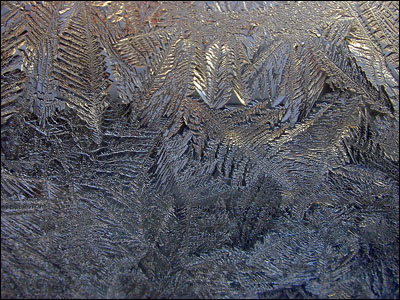 Ice crystals on the window