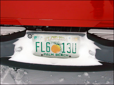 Florida license plate with snow