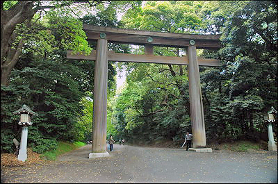 Meiji Shrine - Japanese Torii