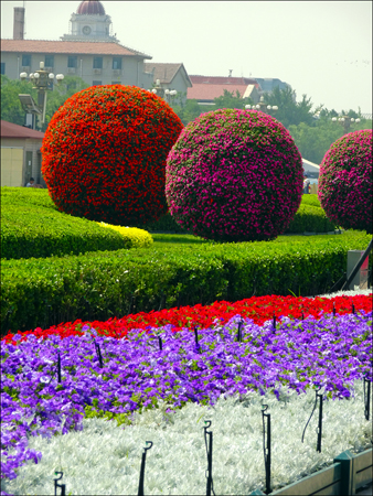 Flowers in Tiananmen Square