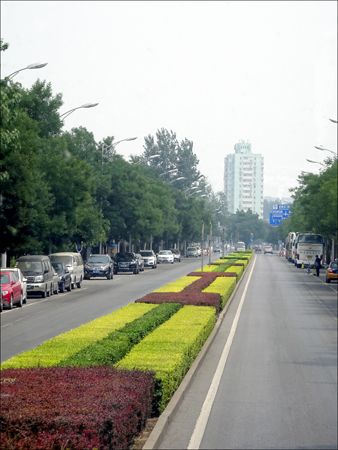Landscaping in Beijing