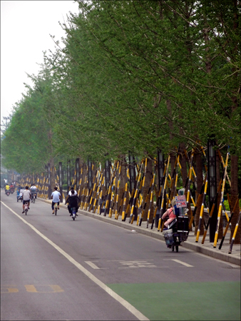 Street in Xi'an
