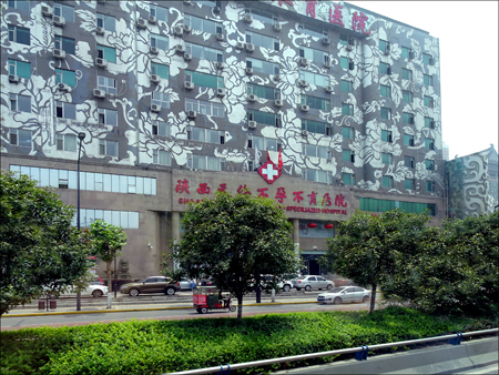 Building in Xi'an