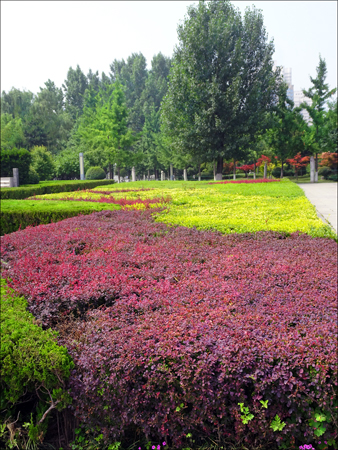 Gardens at Xi'an Museum