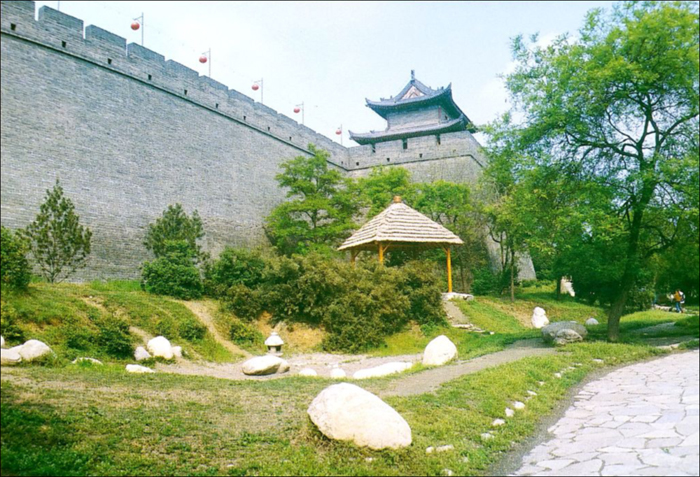 Thatched House in Southern City