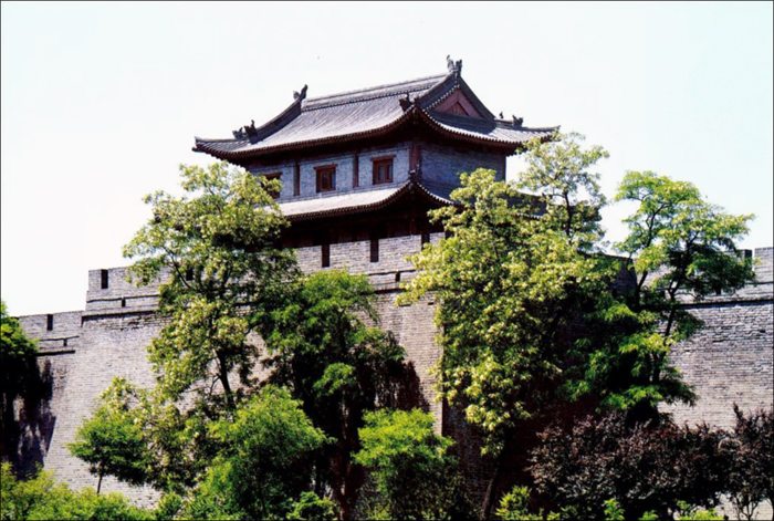 Spring Flowers in Southern City