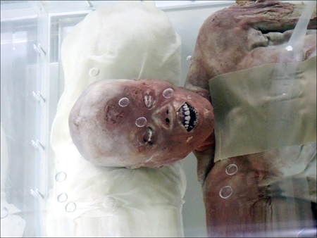 Jingzhou Mummy