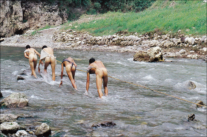 Shennong Stream