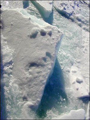 Ice breaking (this ice is about 2-3 feet thick)