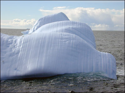 Iceberg