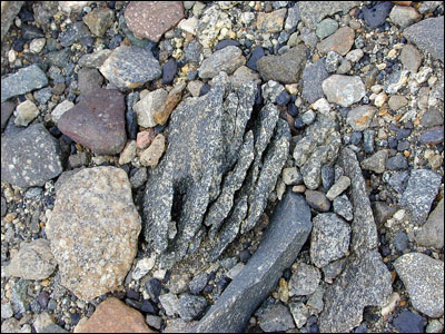 Rocks at Lake Fryxell