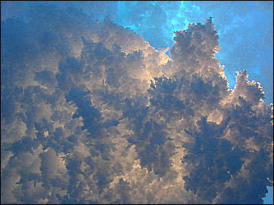 Ice crystals