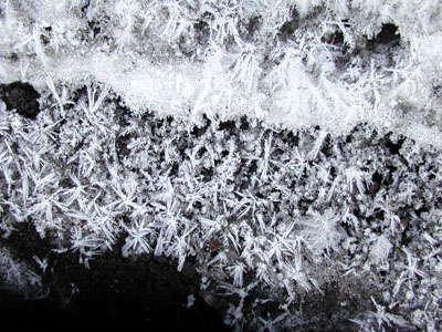 Snow crystals