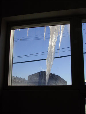 Icicles on the window