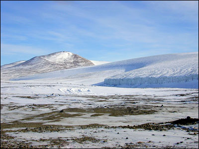 Wilson Piedmont Glacier