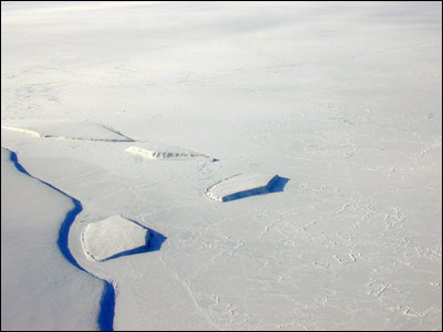 Icebergs frozen in the ice at the edge of the Bowers Piedmont Glacier