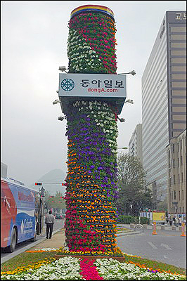 Flower Display