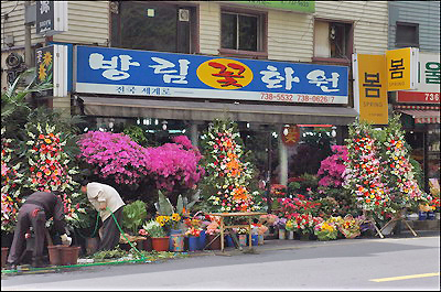 Flower Shop