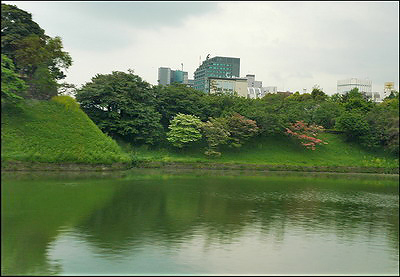 Lake in Harajuku