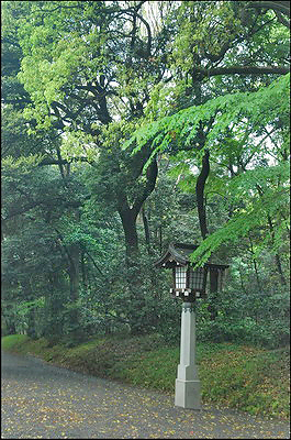 Meiji Shrine - Lantern near gate
