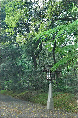 Meiji Shrine - Lantern near gate